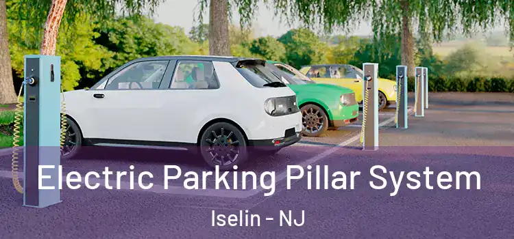  Electric Parking Pillar System Iselin - NJ