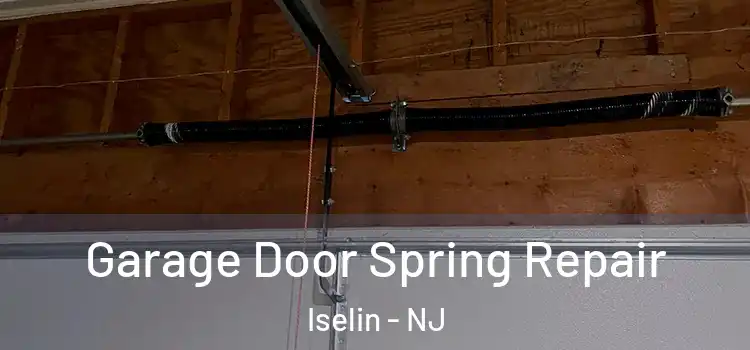  Garage Door Spring Repair Iselin - NJ