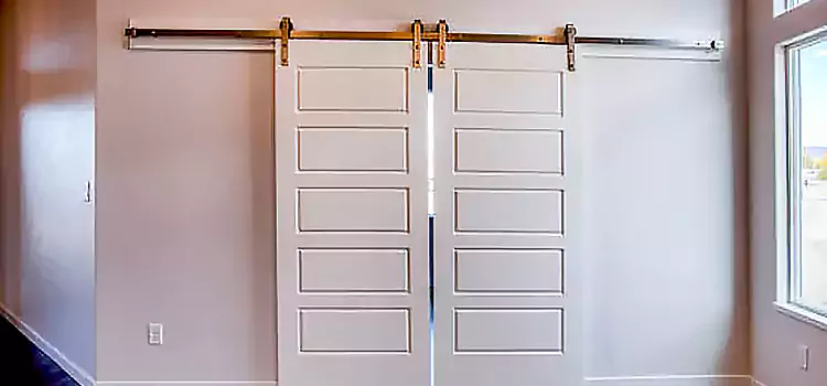 Glass Barn Door with Installation Hardware Kit Iselin