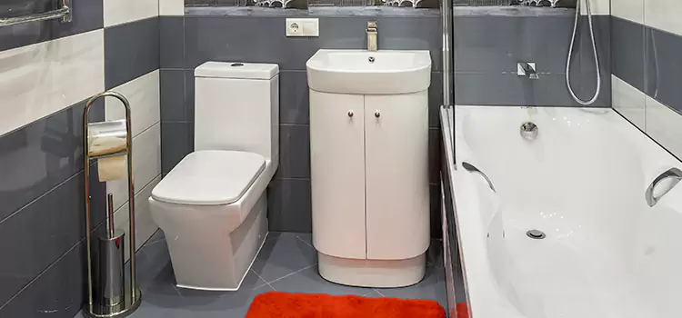 Hansgrohe Shaving Mirror Iselin